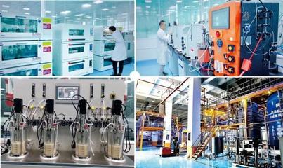 从营销驱动到自主研发 汉和生物如何借力信息技术服务构建高效合成生物学细胞工厂